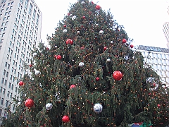 027 Detroit Scenes [2008 Nov 27]
